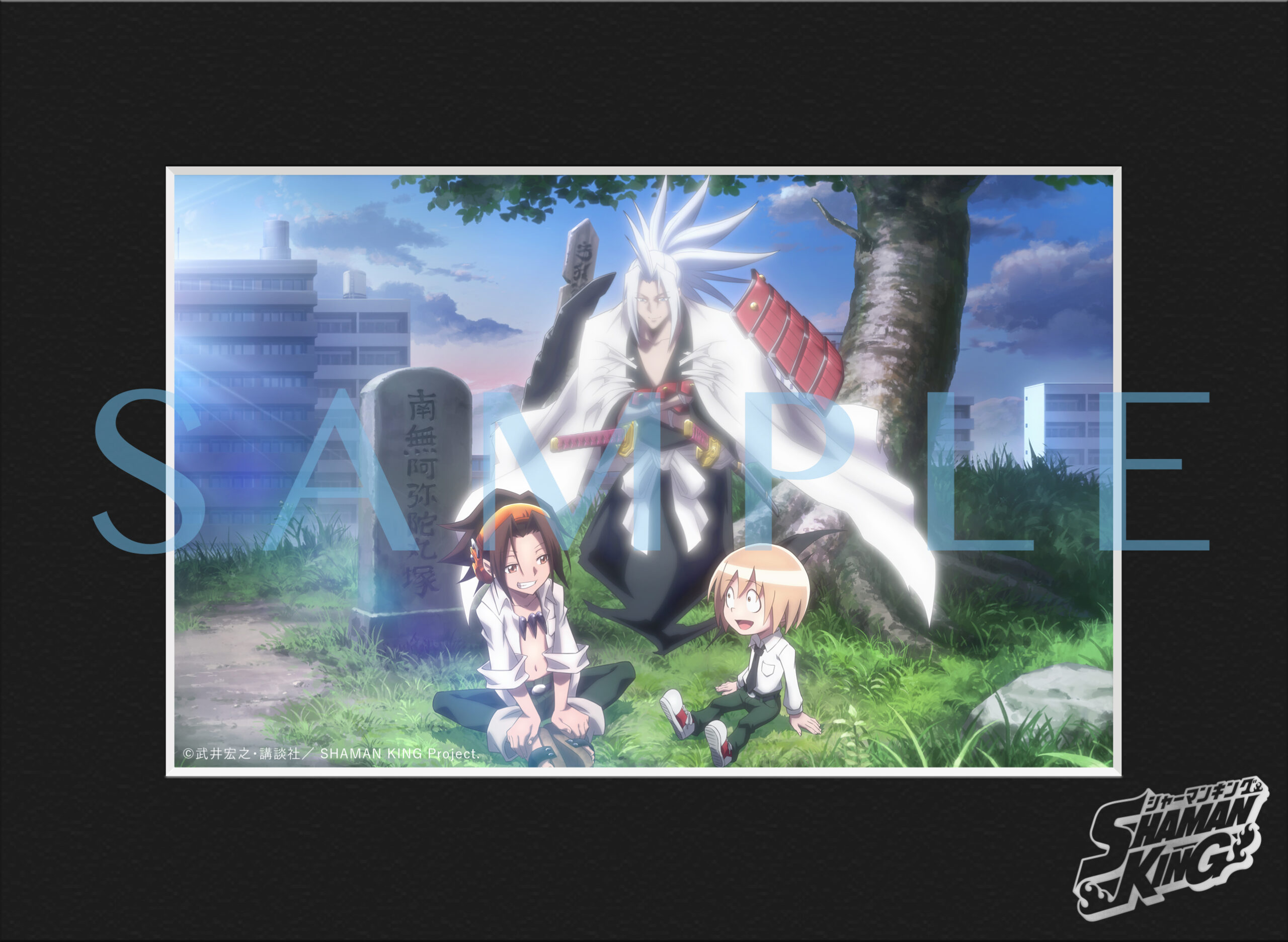 Blu-ray｜TVアニメ『SHAMAN KING』公式サイト